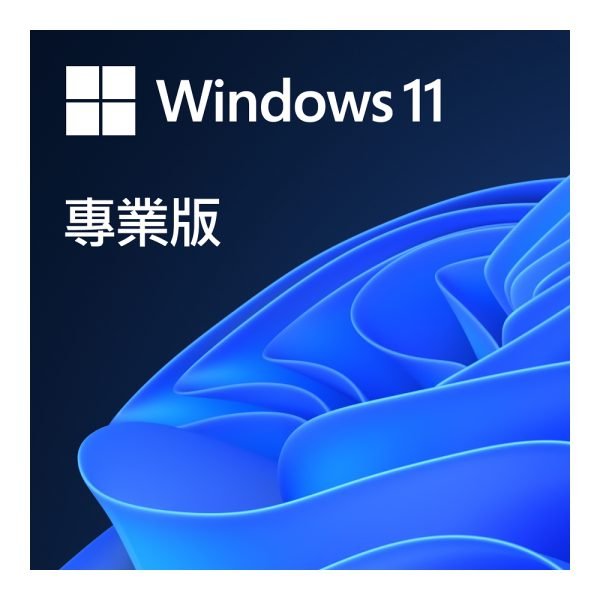 Microsoft Windows Pro 11