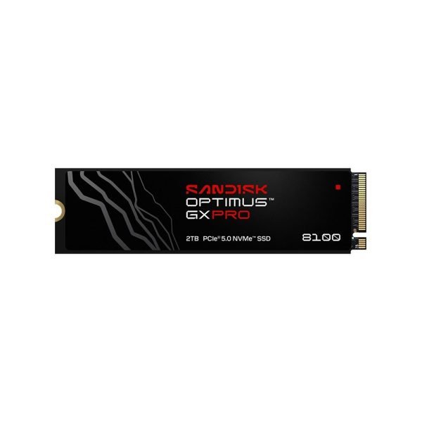 SanDisk GX Pro 8100 2TB