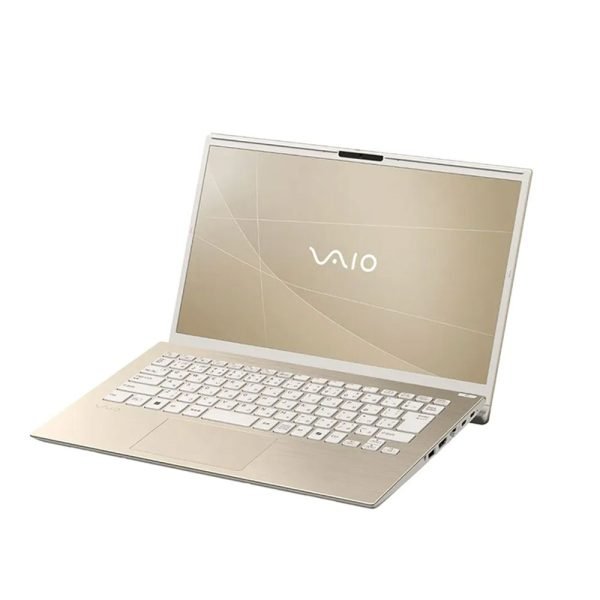 VAIO VJF162W061WN